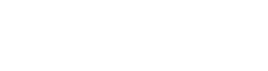 Wikiskin logo